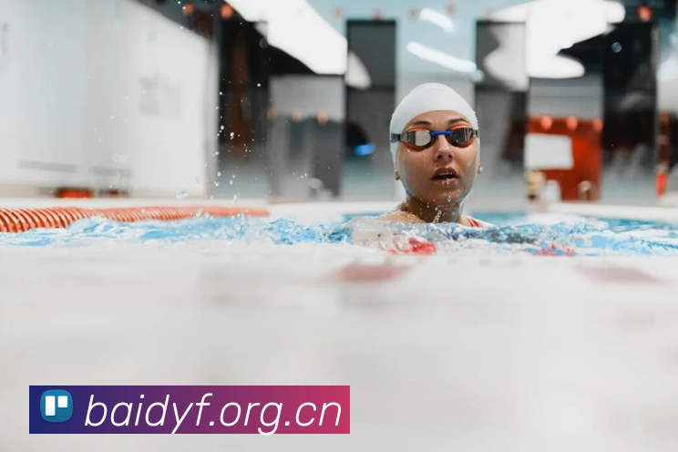 米兰网页版登录入口平台生态图